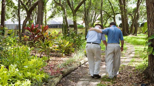 Old man using a walker and a companion walk along the walkway surrounded by grass, trees and plants. Short buildings in the background, partly obscured by trees