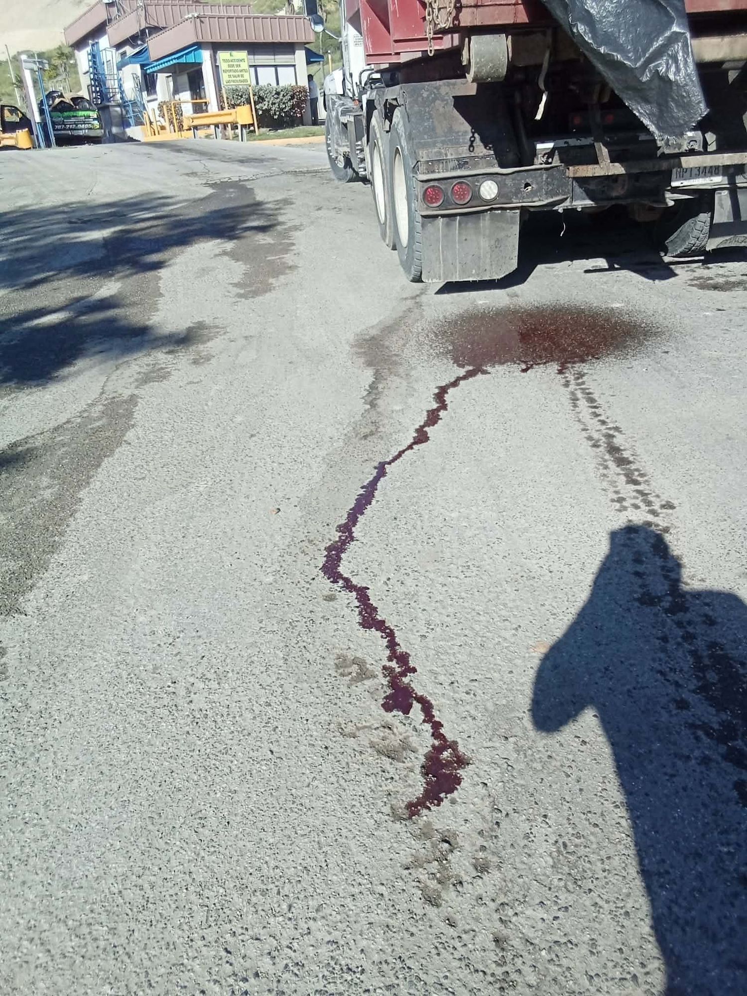 PIP urge investigar transporte de residuos de animales hacia vertedero en Ponce