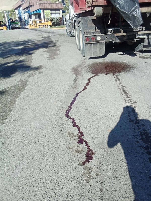 PIP urge investigar transporte de residuos de animales hacia vertedero en Ponce