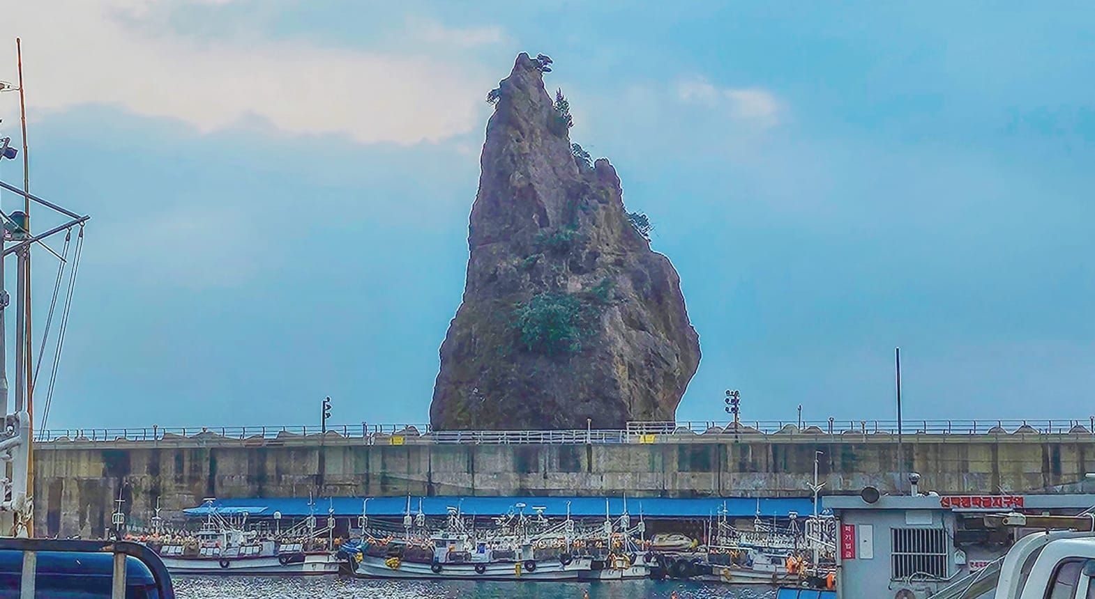 티오더, 울릉도도 갑니다!