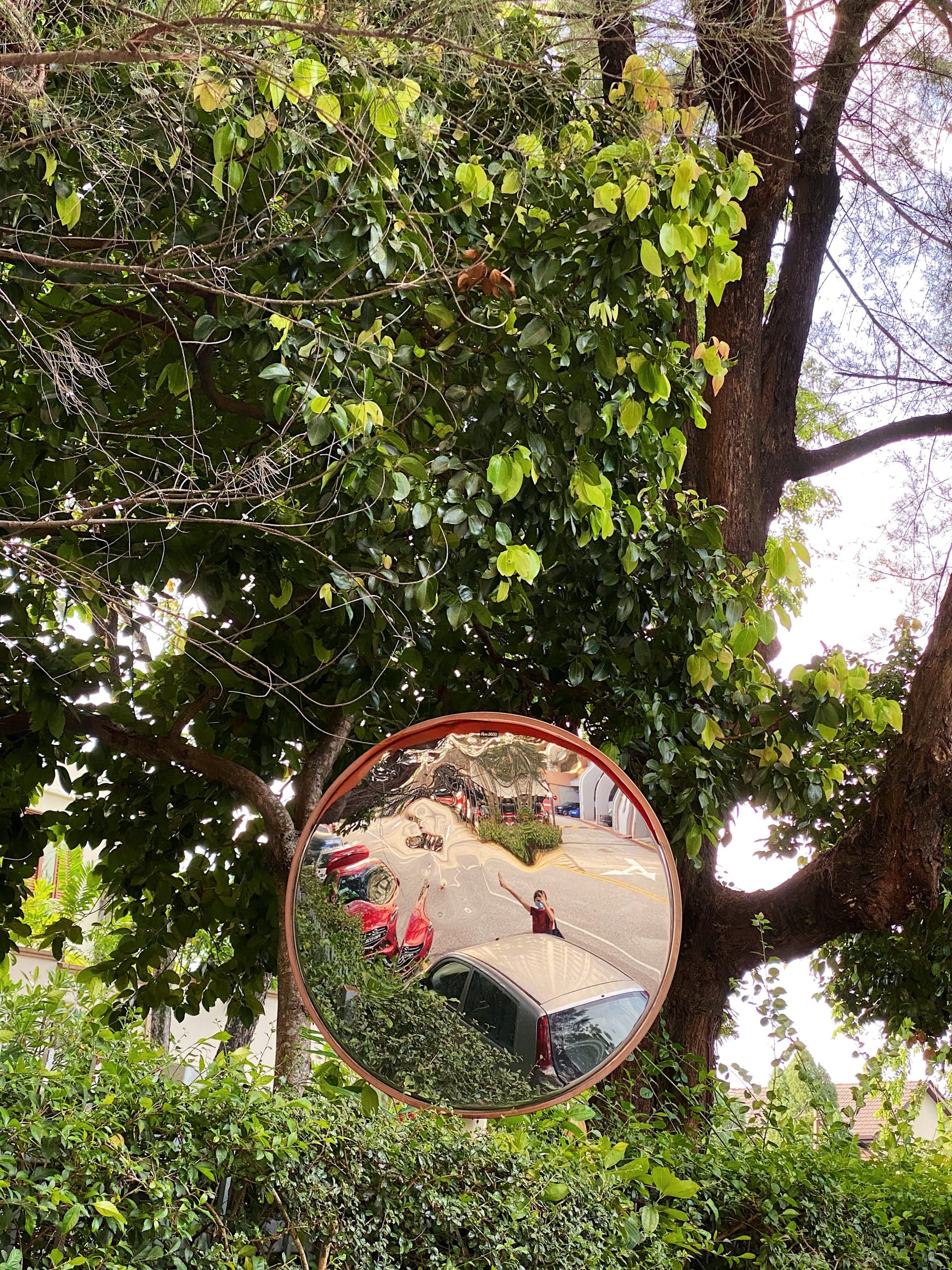 (iPhone 11 Pro) Photo by me, outside of one of my friends' apartment.