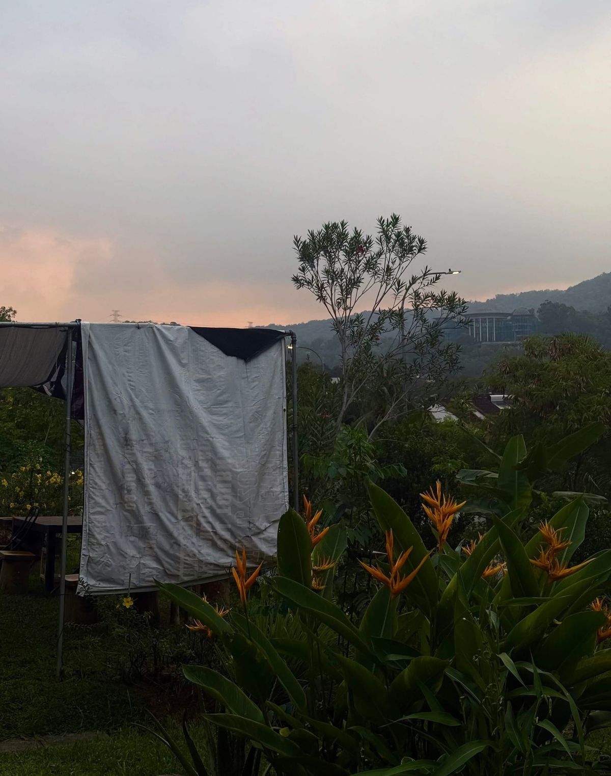 thoughts on internet culture today