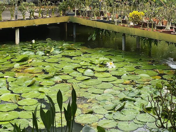 2021 Q1 Review: To an examined life