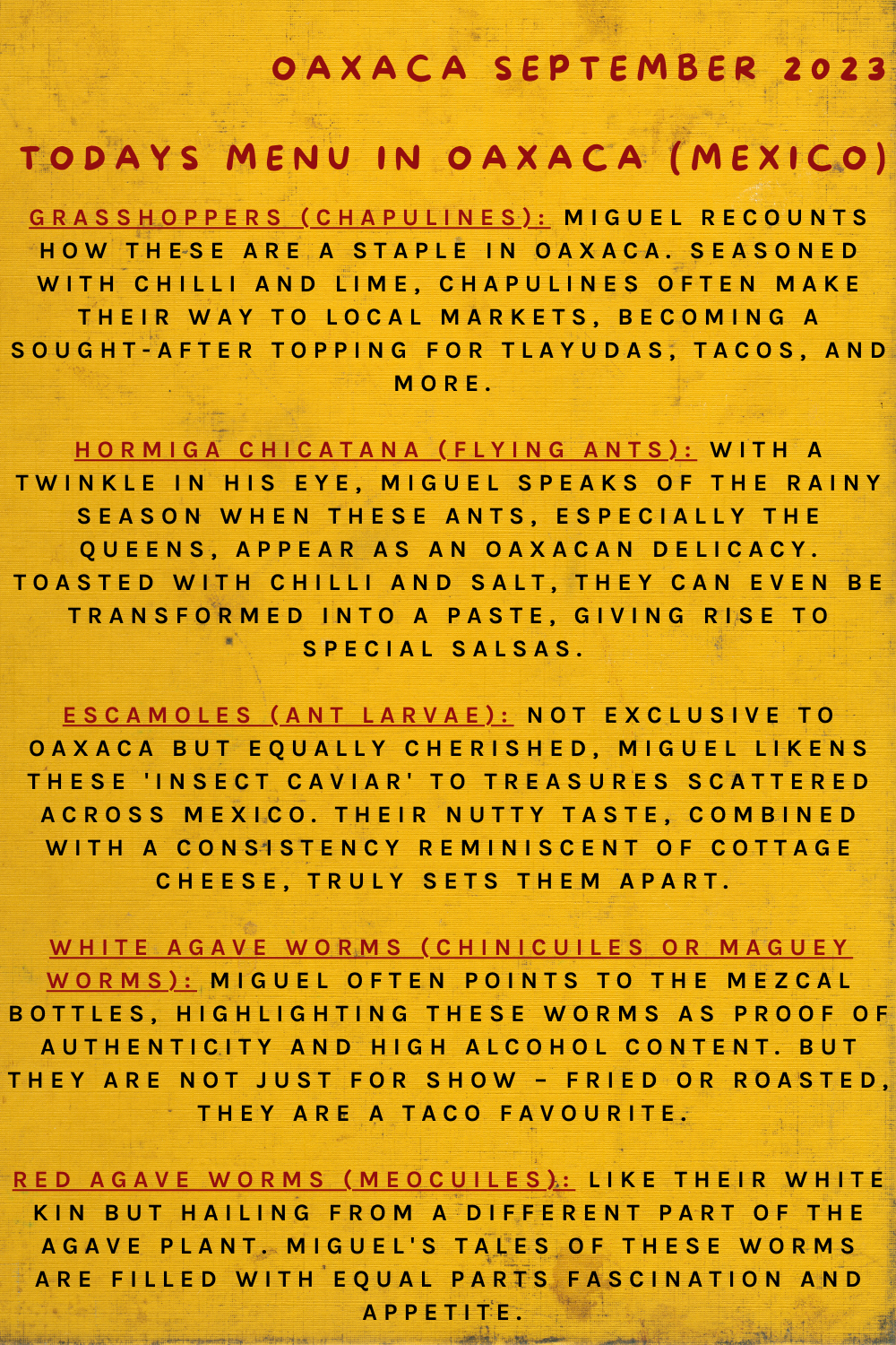 Todays Menu In Oaxaca (Mexico)
