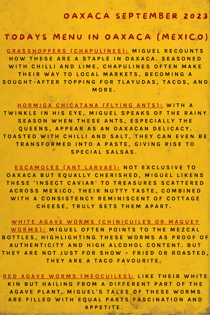 Todays Menu In Oaxaca (Mexico)