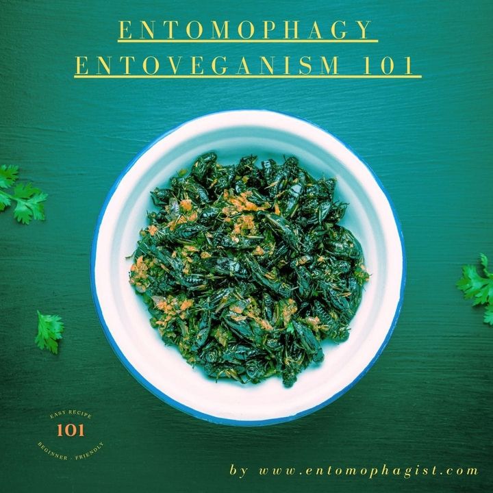 Entovegan Delight: Chef Luciano's Best Stir-Fried Garlic Crickets with Rice & Veggies Recipe Creation