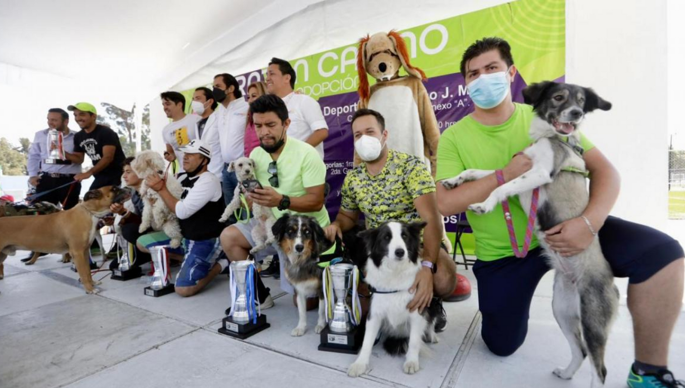 perritos cdmx