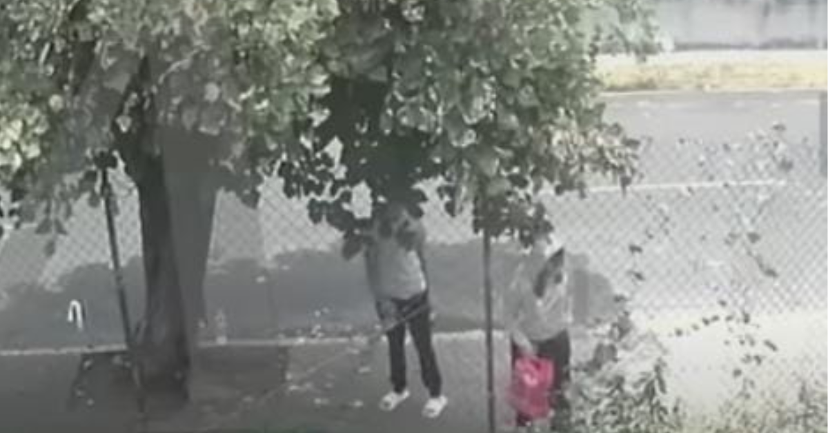 cuerpo bebe recien nacido abandonan sin vida 