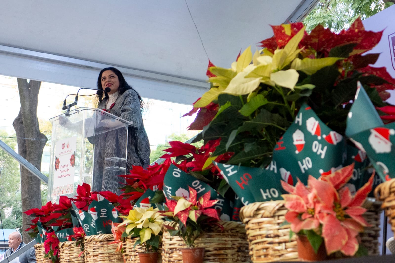 Festival Flores de Nochebuena.