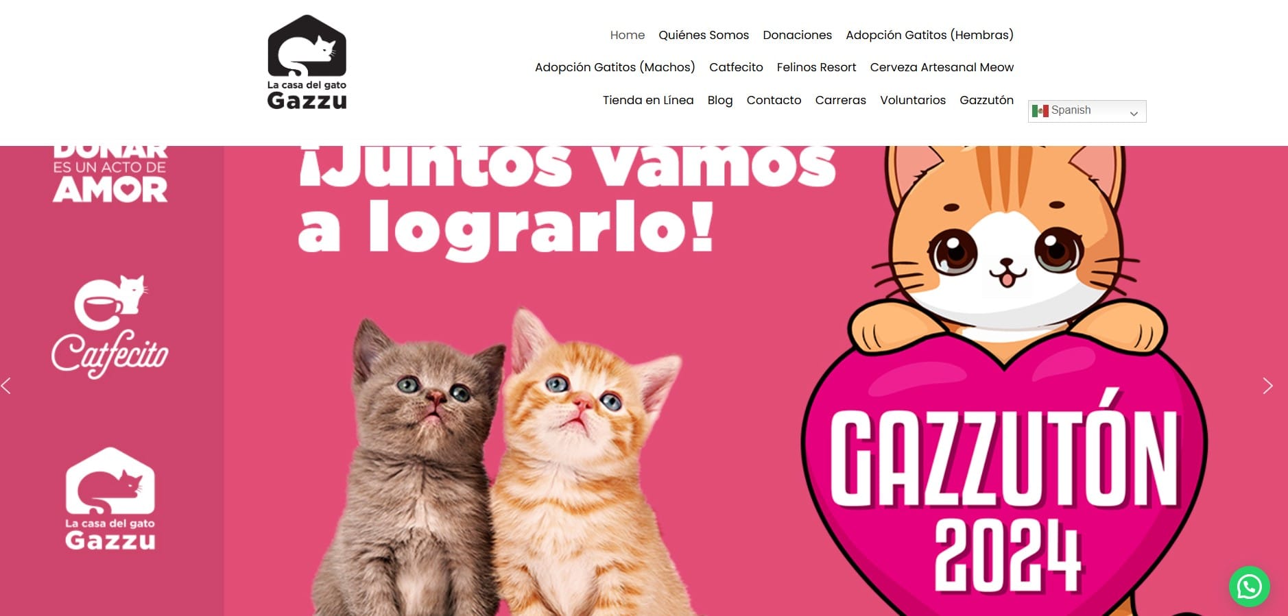 La Casa del Gato Gazzu.
