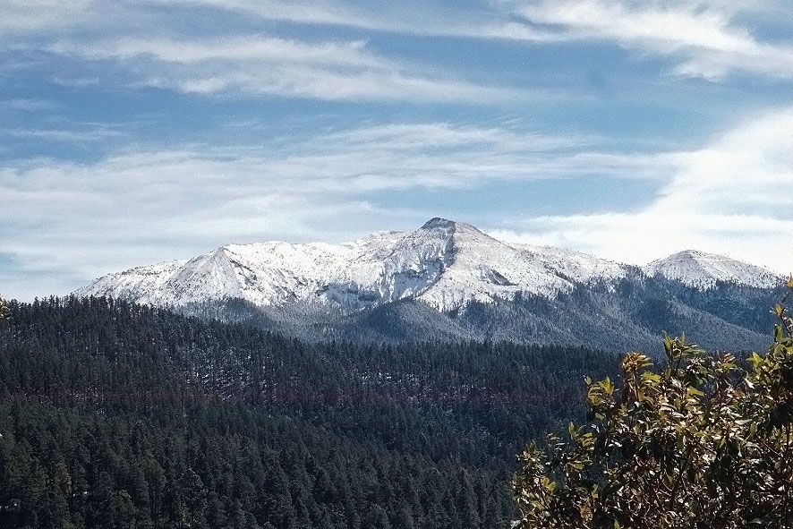 Policía busca a 9 personas desaparecidas en el Ajusco