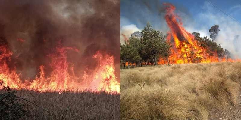 CDMX es la segunda entidad con más incendios forestales en el país