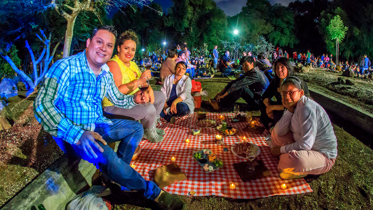 picnics nocturnos en bosque chapultepec