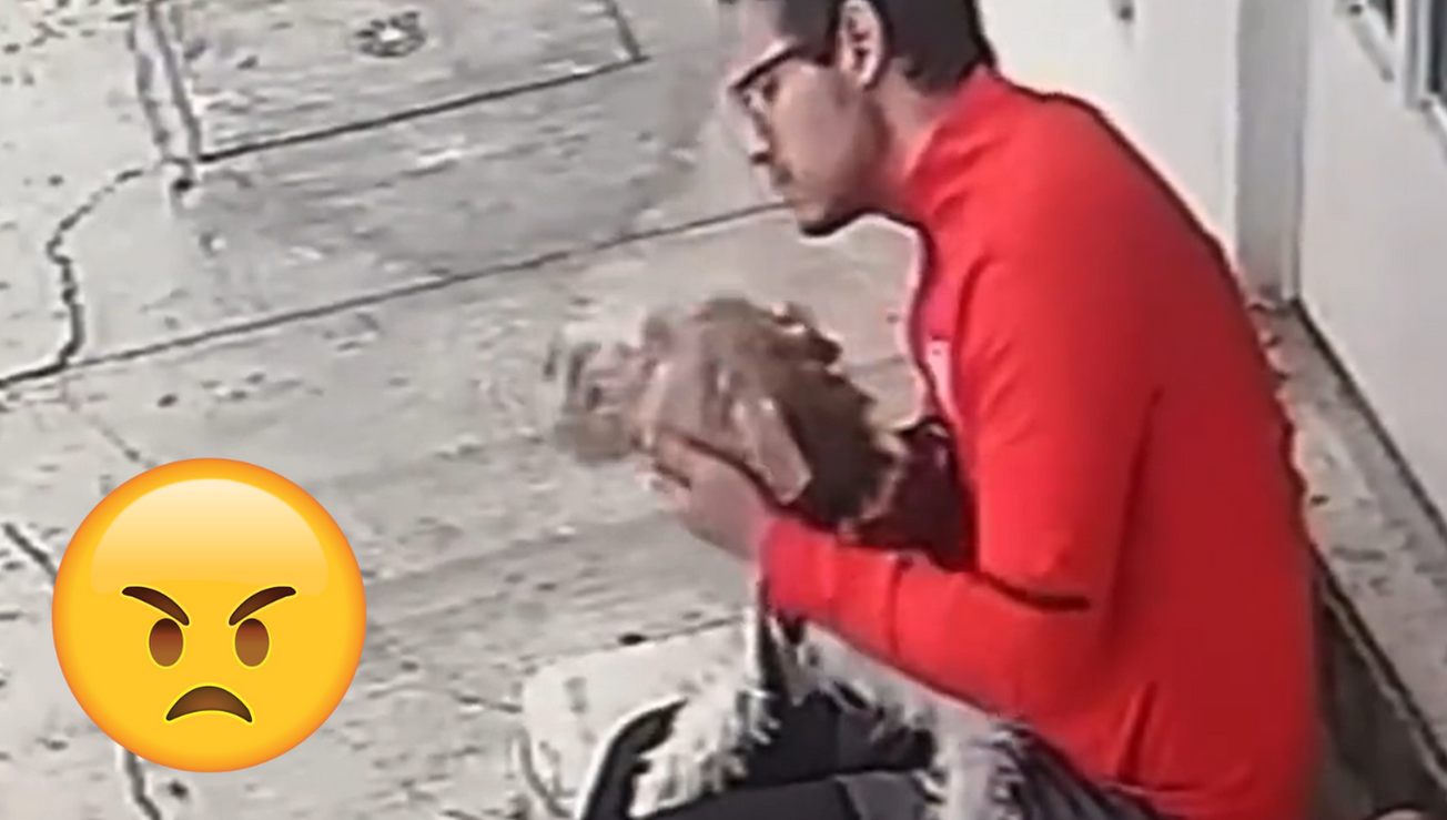 ¡Indignante! Captan a hombre golpeando a su perro en la cara