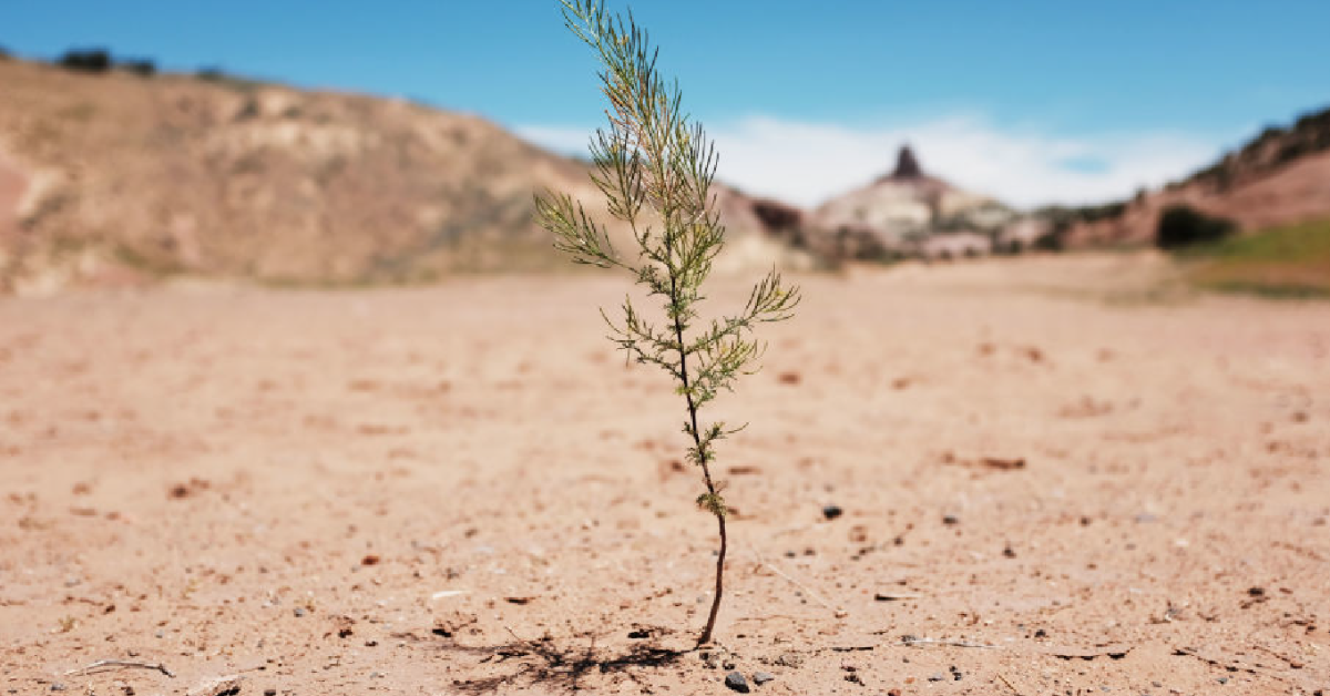 agua dia cero cdmx escasez 