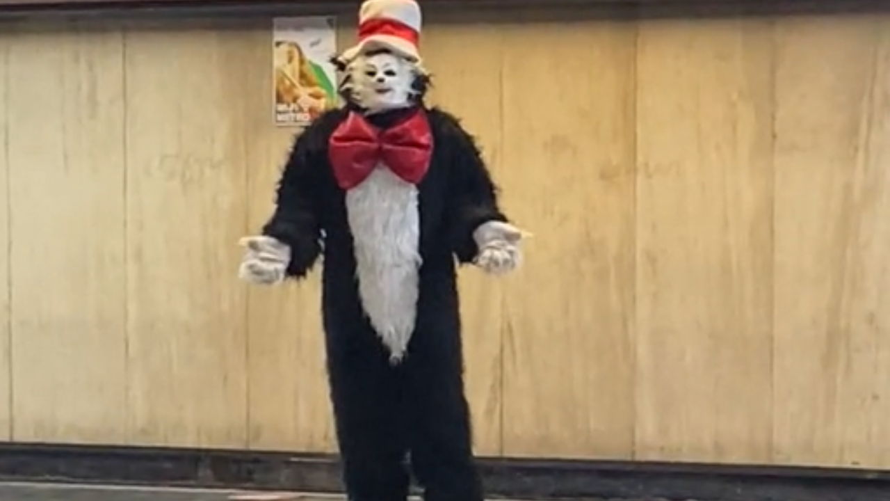 el gato con sombrero