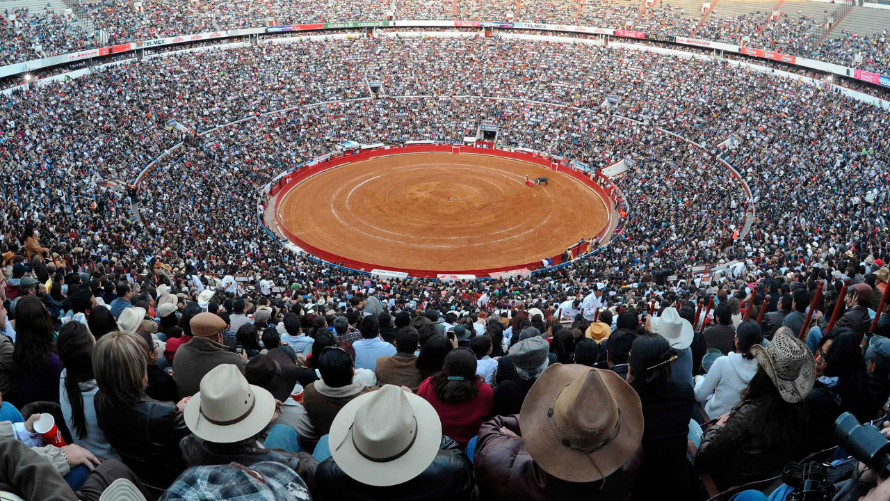 Juzgado autoriza corridas de toros en CDMX