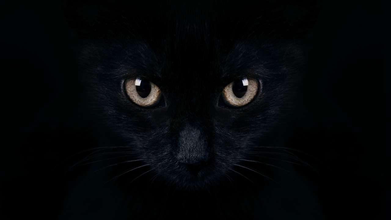 ¿De dónde viene el miedo al viernes 13?