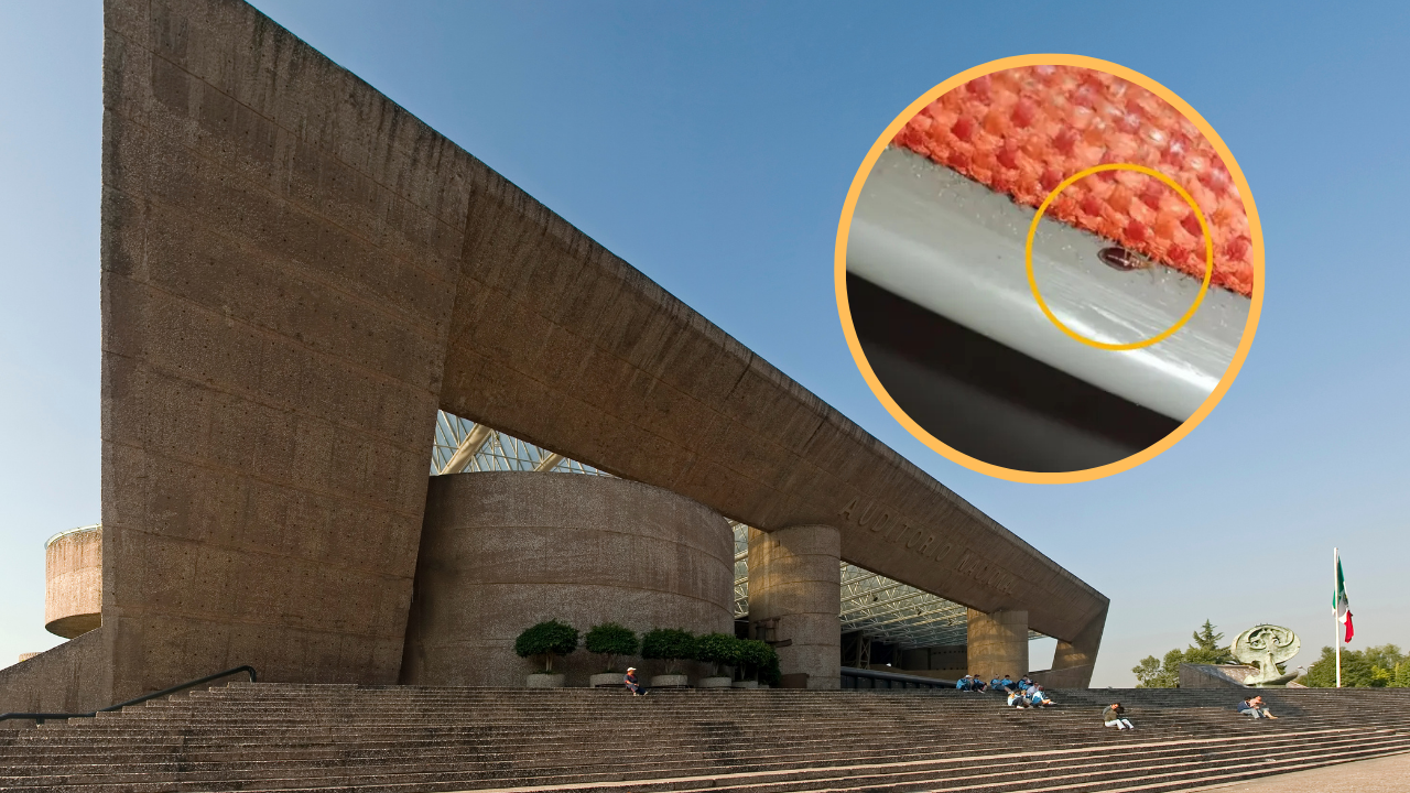 Congreso de la Cdmx pide al Auditorio Nacional tomar acciones sanitarias para evitar chinches