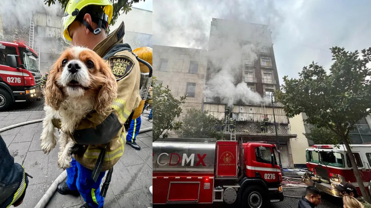 Rescatan a una mujer y su mascota del séptimo piso tras incendiarse su edificio en la Cdmx