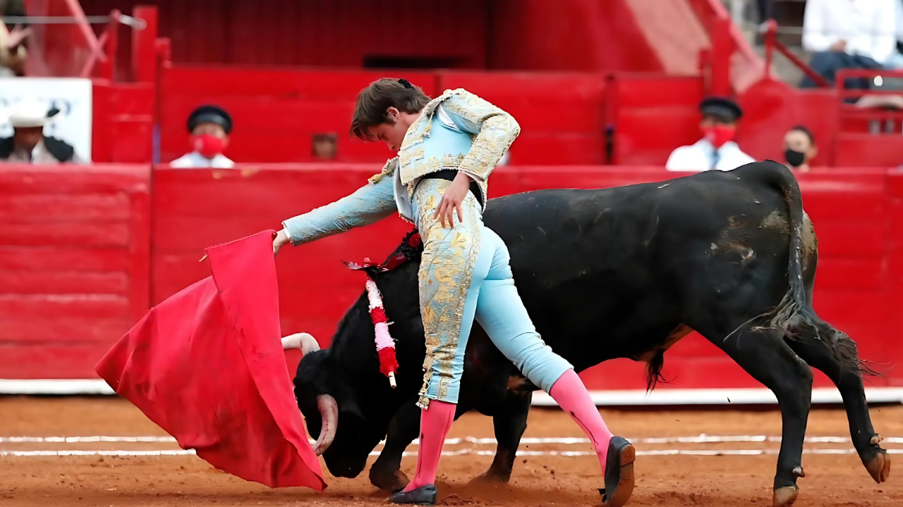 Corridas de toros en la CDMX.