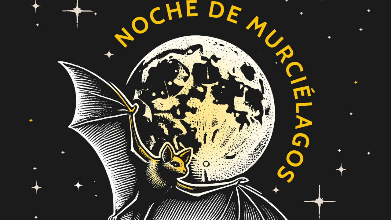 Noches de Murciélagos.