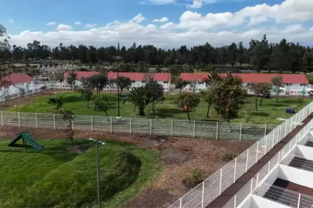 Inauguran en CDMX “Xólotl”, albergue público para 600 perros y gatos