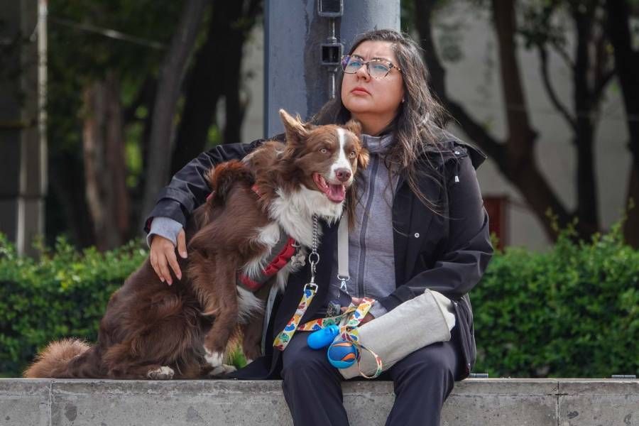 ¿Qué dice la Ley de Rentas de CDMX sobre las mascotas y niños?