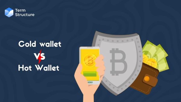 Cold Wallet vs Hot Wallet