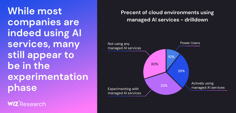 Wiz chart showing some of their findings