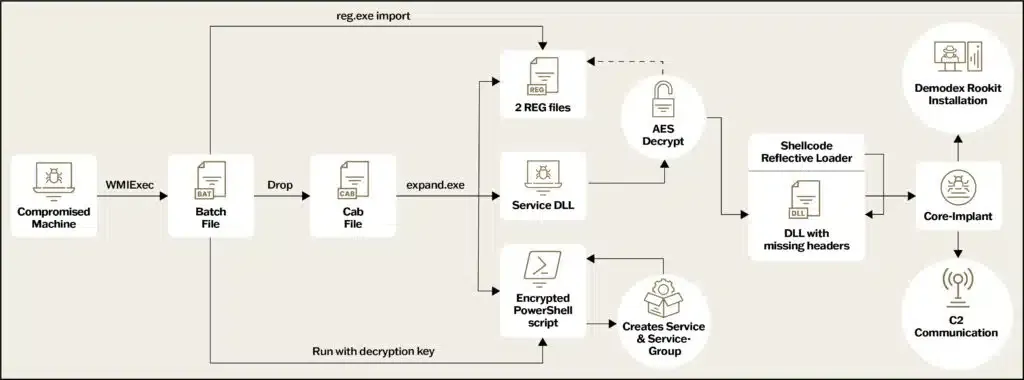 Overview of a Demodex infection chain