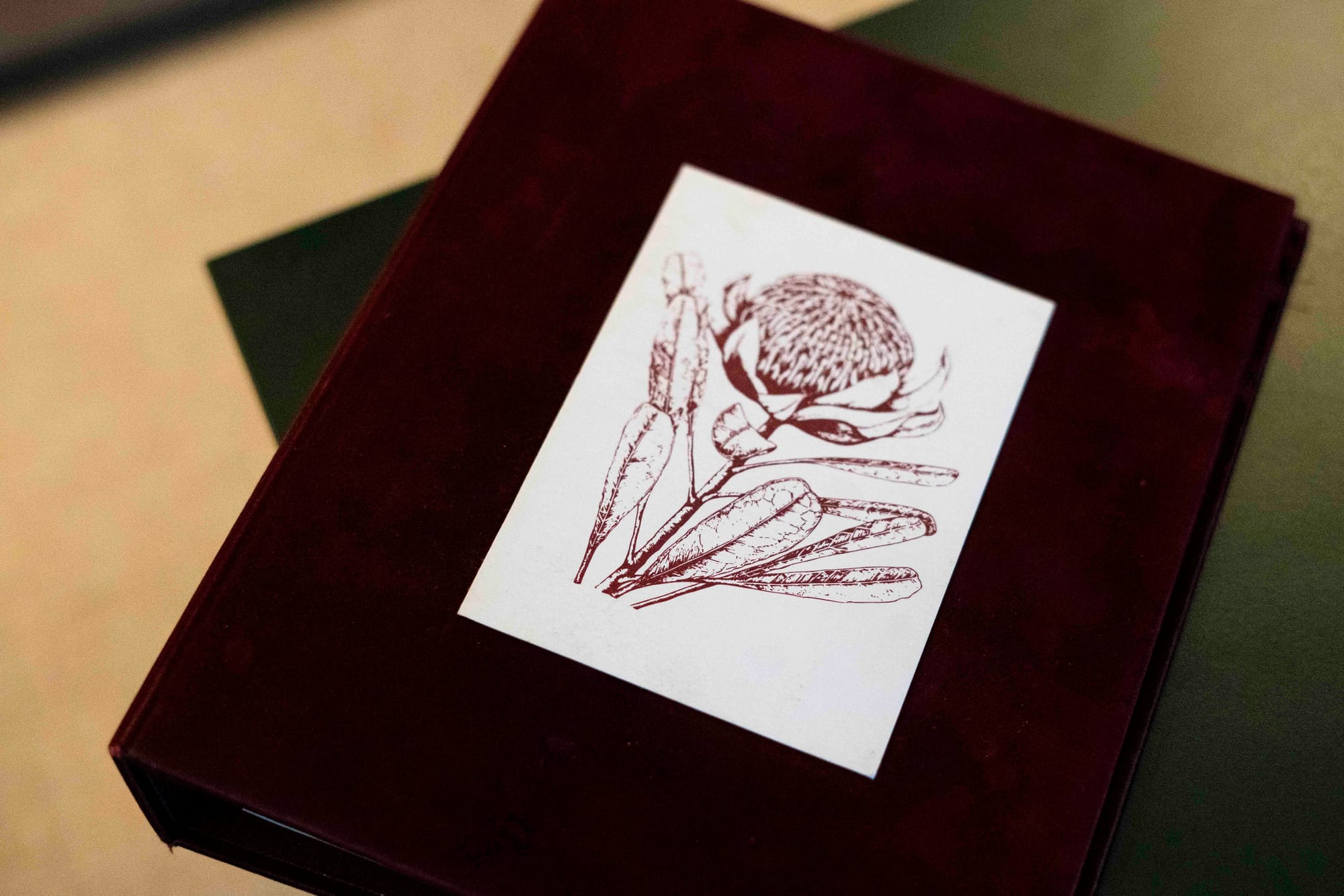 Drinking Australia Vol. 2 is in the bar at The Waratah now. Photo: Boothby