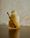Bonjus Sakran
