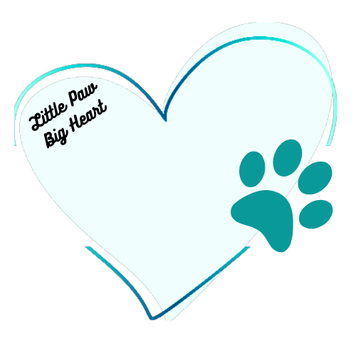 Little Paw Big Heart
