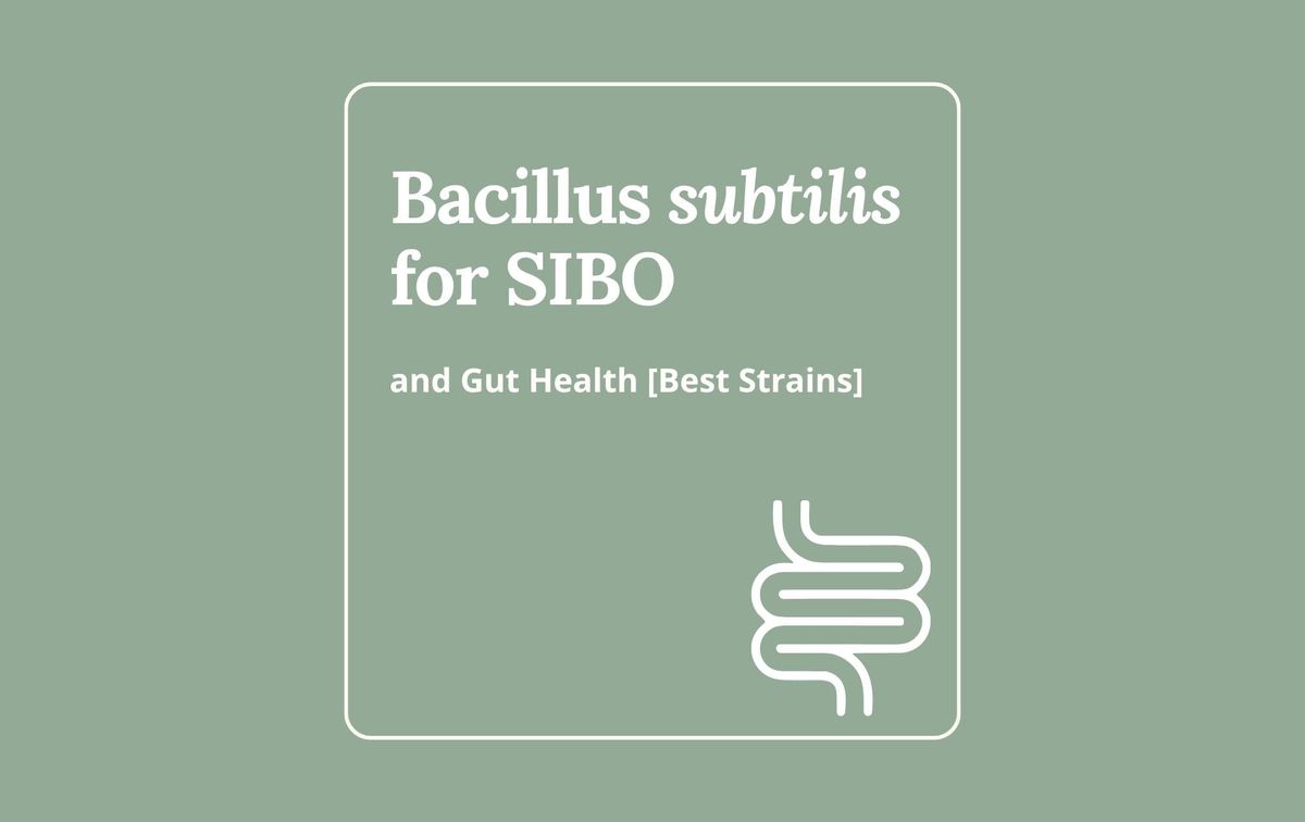 Bacillus subtilis for SIBO and gut health