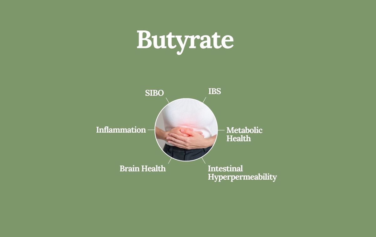 Butyrate and gut health illustration, hands holding the stomach