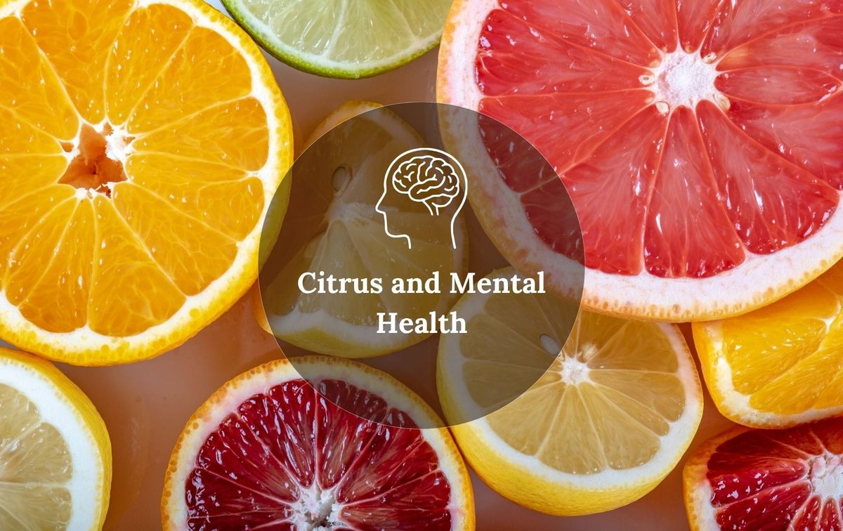 Halved oranges, lemons and grapefruits