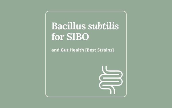 Bacillus subtilis for SIBO and gut health
