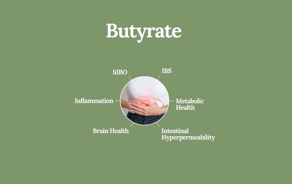 Butyrate and gut health illustration, hands holding the stomach