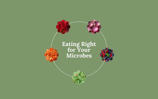 Gut Friendly Diet: fermented foods, berries, onions, fibre