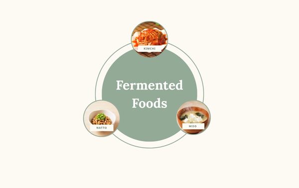 Small images of kimchi, natto and miso with the title: Fermented foods