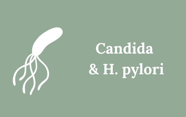 A simple drawing of the H. pylori bacterium