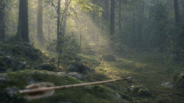 Una freccia di legno appoggiata su una pietra coperta di muschio, in una radura avvolta dalla nebbia del mattino