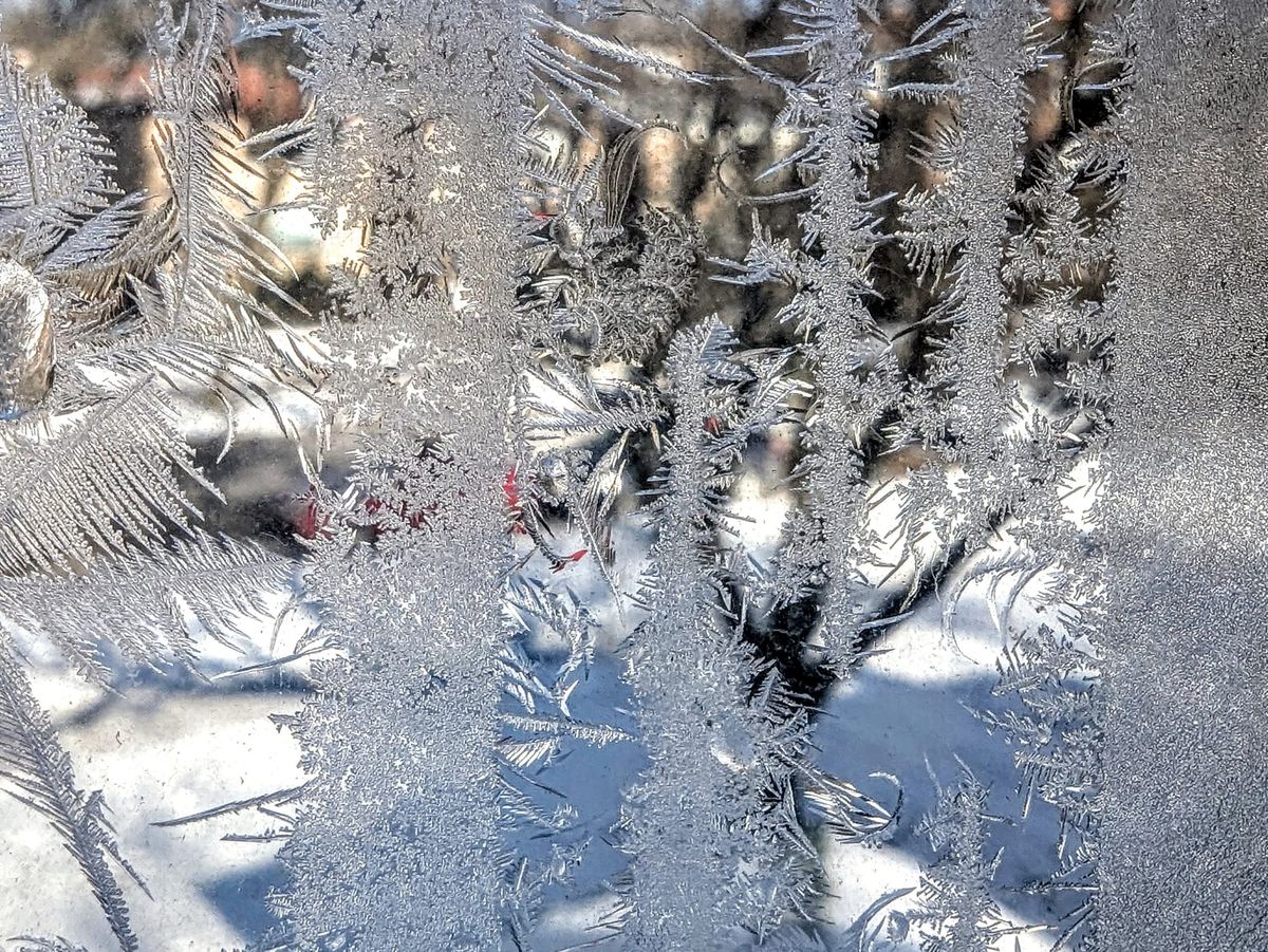 Frosty