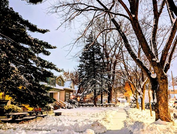 My favorite things right now