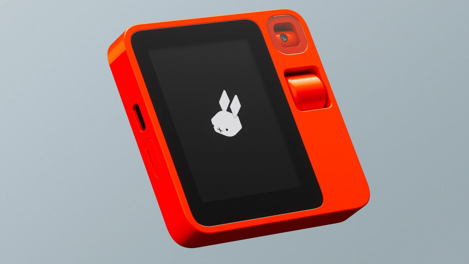 Rabbit rb1