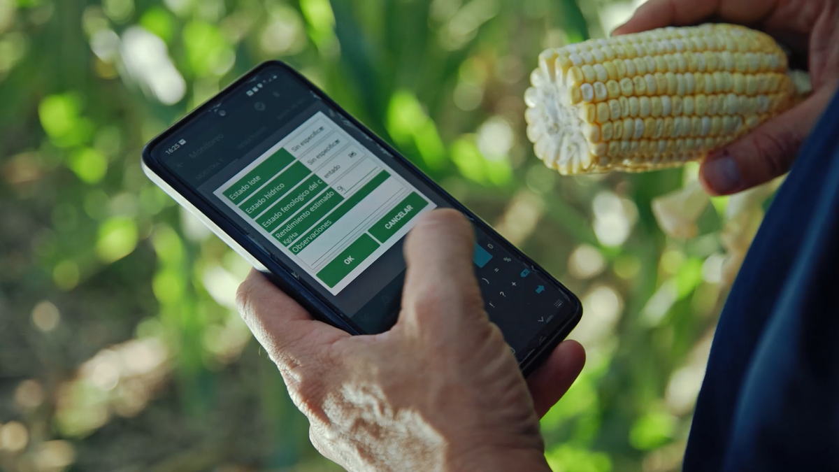 Sistemas de agricultura inteligente para el desarrollo del campo mexicano