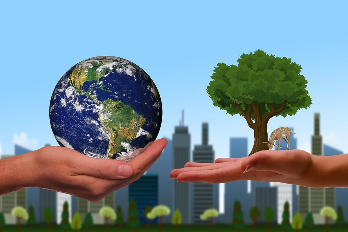 Educación que incrementa la sustentabilidad del planeta
