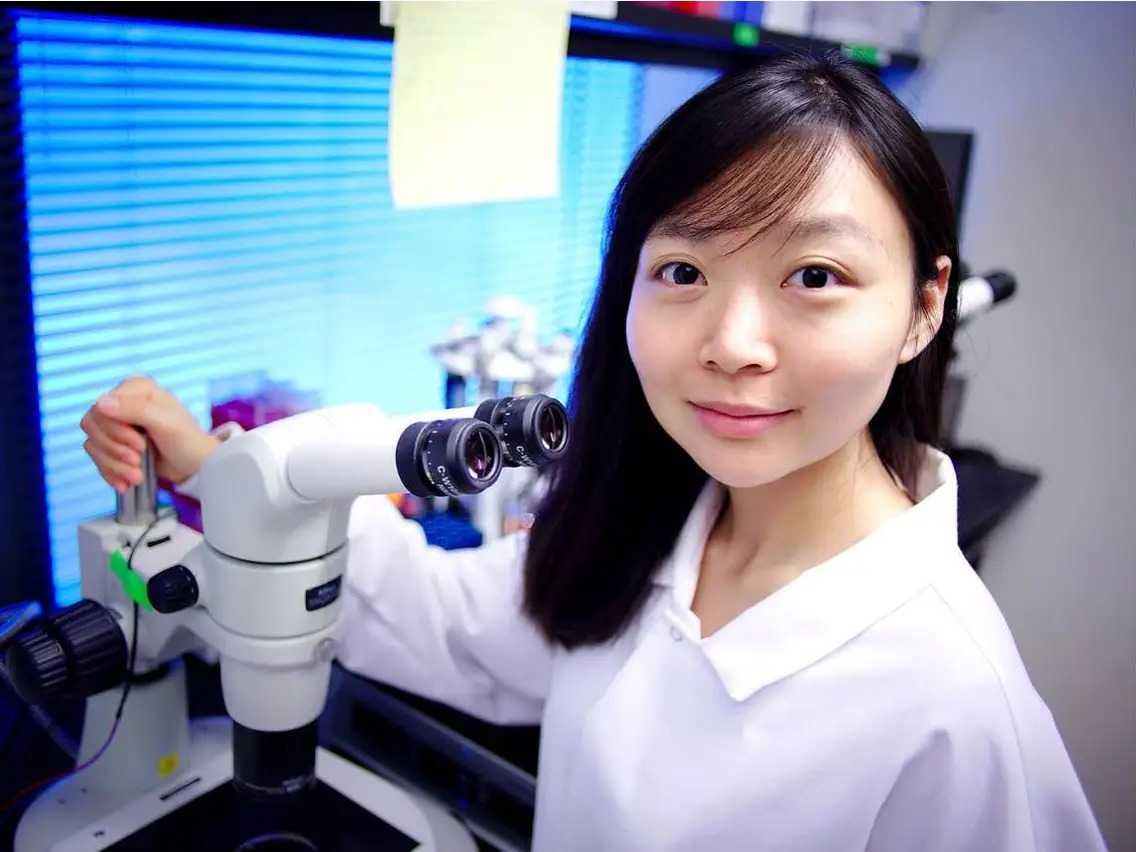 ¿Trasplante de órganos de cerdo a humanos? El futuro de la medicina a manos de startup eGenesis