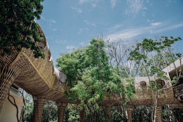 Llega la segunda edición del Tulum Crypto Fest, el festival con una propuesta innovadora que une tecnología, networking, diversión y wellness.